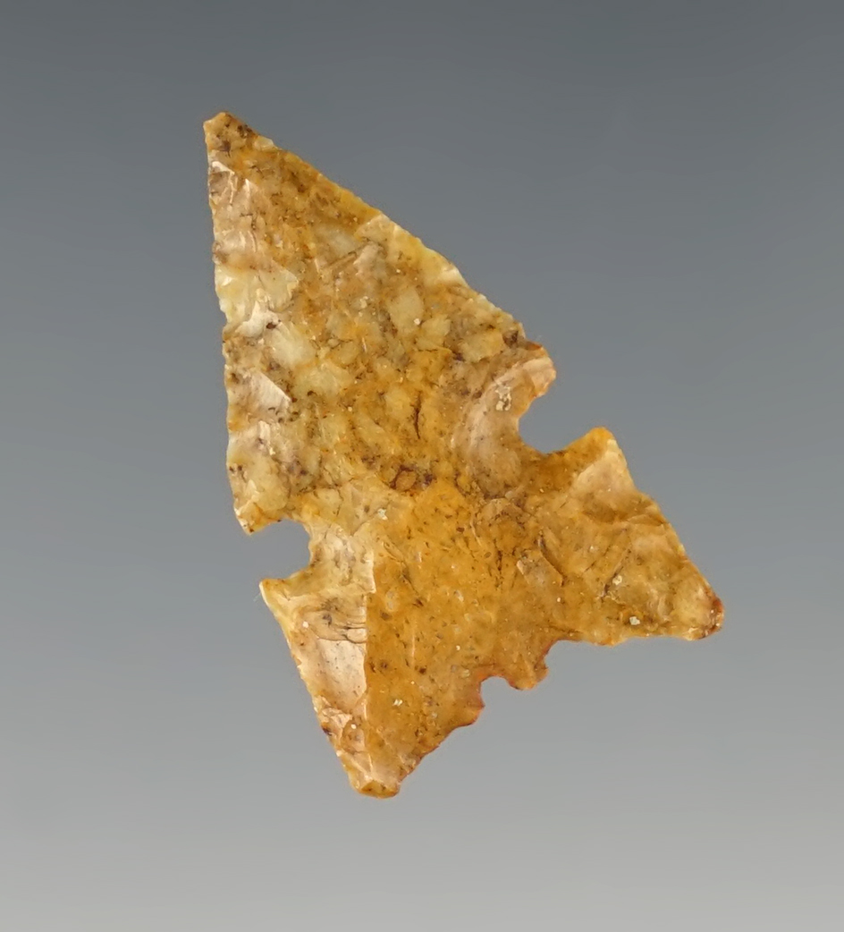 Rare style 1 5/16" Sudden Series Sidenotch-San Rafael Variety. New Mexico.