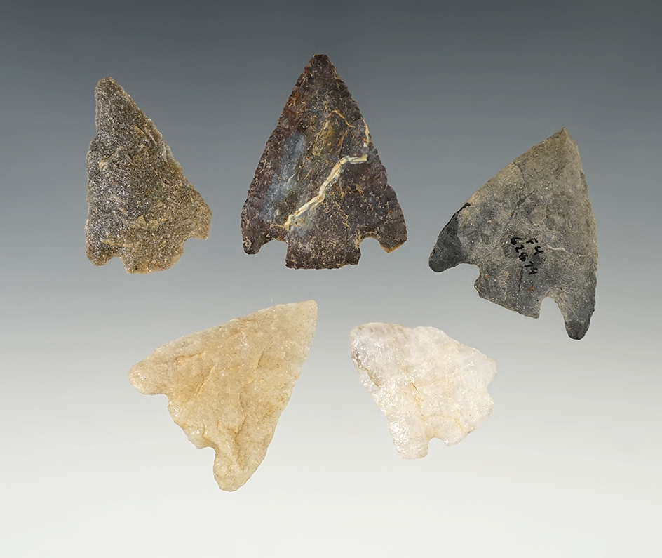 Set of 5 Erb Basal Notch Points in nice condition. Found in Maryland. Largest is 1 9/16".