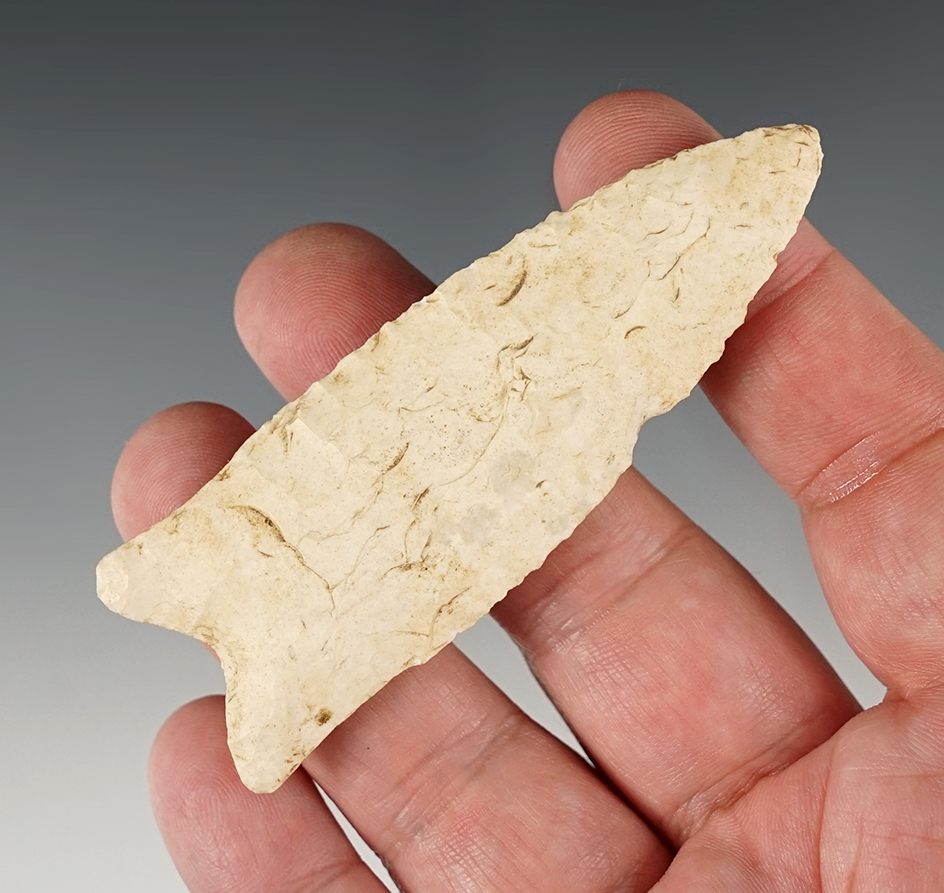 Exceptional 3 3/8" Dalton found in the Missouri/Illinois area. Thin with excellent flaking.