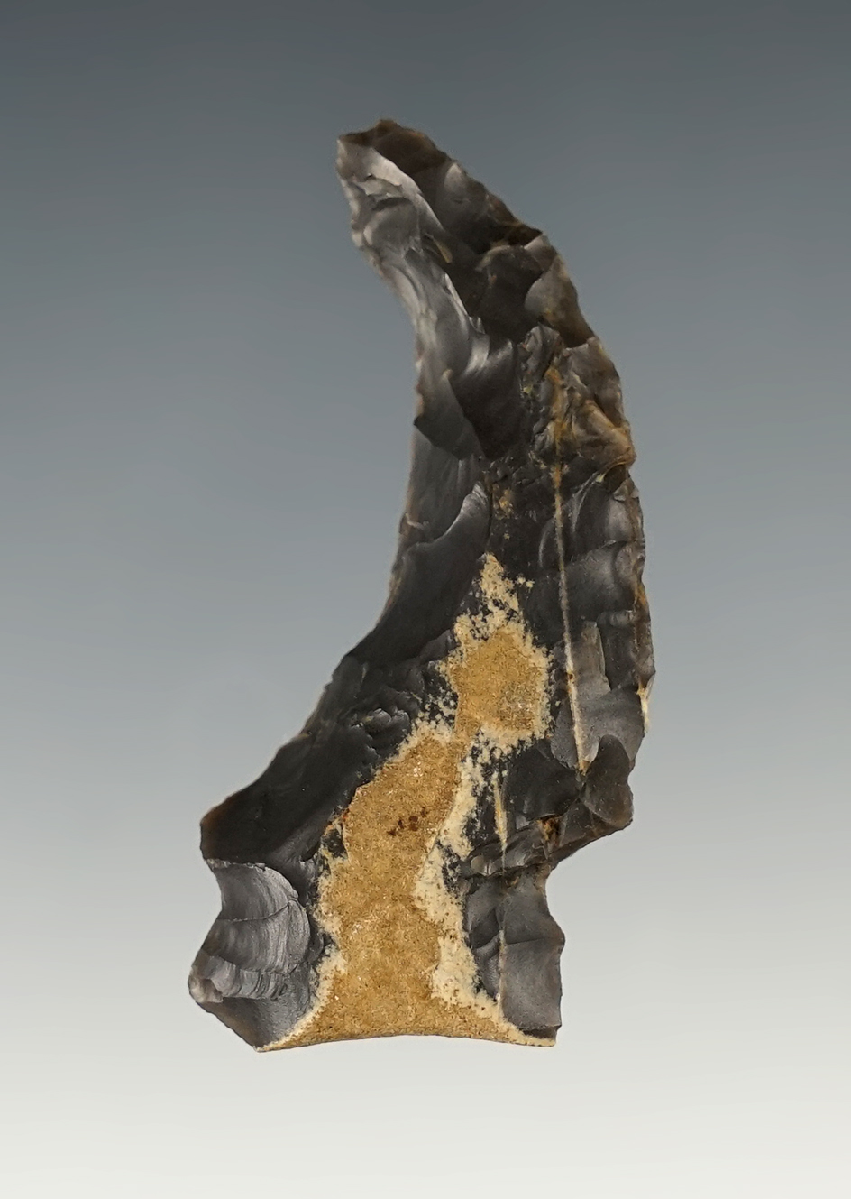 2 3/16" Classic Style Hafted Shaft Scraper found in Kentucky.