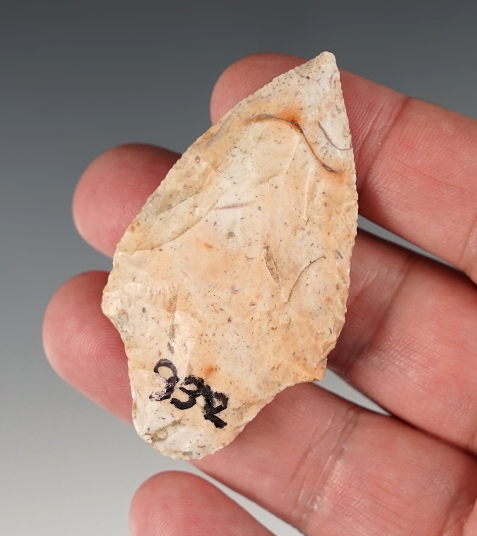 2 1/2" Colorful Stemmed Point found in Florida. Includes the original collectors card from 1940.