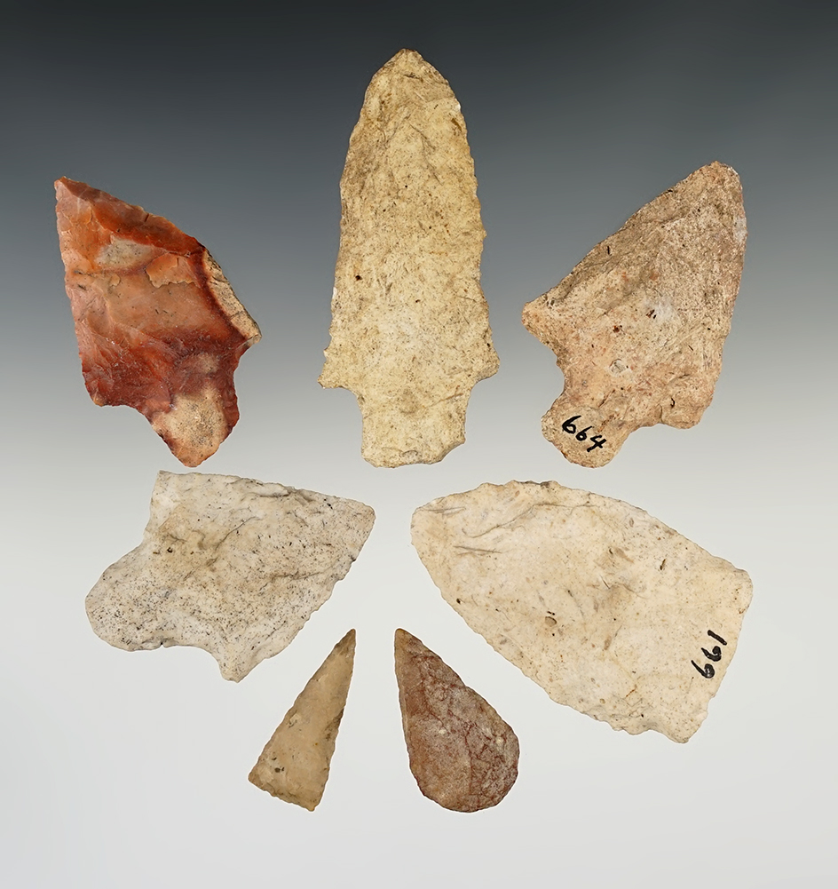 Set of 7 Florida points in good condition. The largest is 3 1/16".  Includes the original collectors