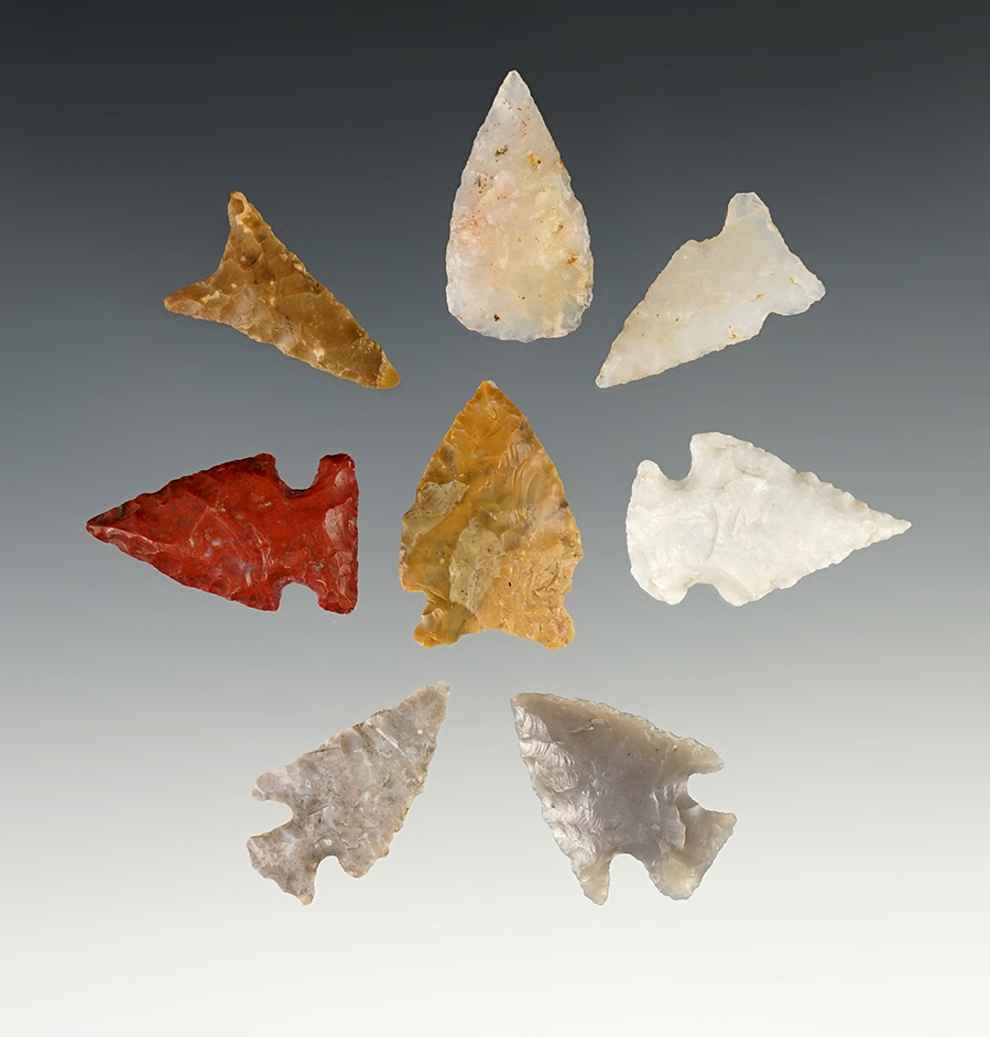 Group of 8 Assorted Arrowheads found in New Mexico, largest is 1 3/16".