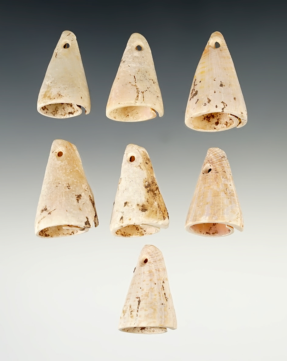 Nice set of 7 Ornamental Shell Cones that were cut and drilled, found in New Mexico.