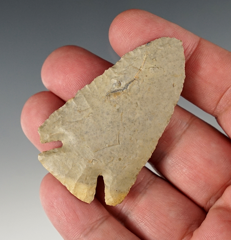 Nicely flaked 2 3/8" Cornernotch found in Indiana.