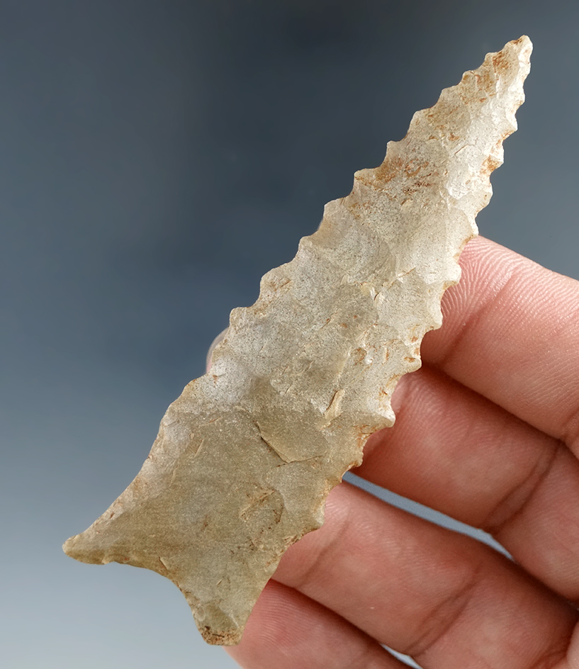 3 1/8" Dalton found in Stokes Co., North Carolina. Comes with a Bennett COA.