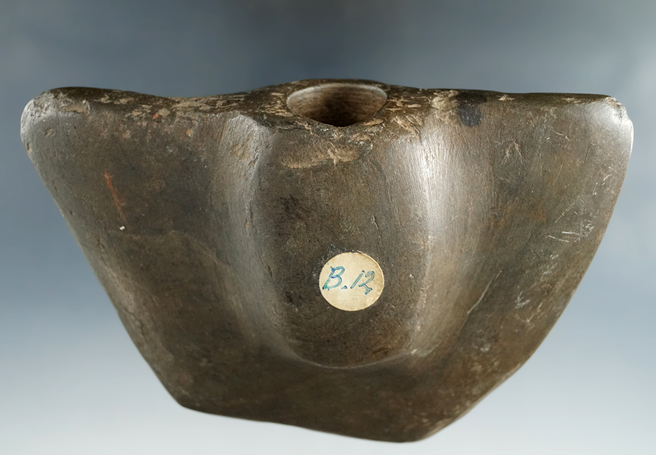 5" Glacial slate Winged Bannersotne with drilling partially started, found in Ohio. Bennett COA.