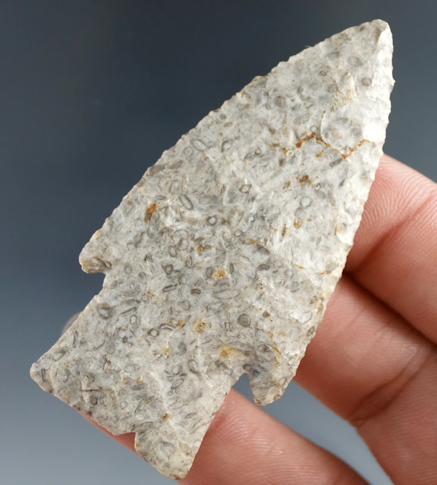 2 9/16" well styled Hardin point bought at a farm sale in Elk City, Montgomery Co., Kansas.