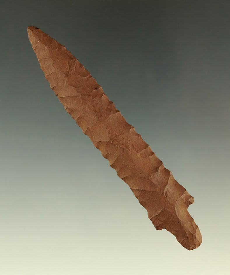 Large and rare! 3 9/16" Bear point found at St. Lawrence Island, Alaska - Rogers COA.