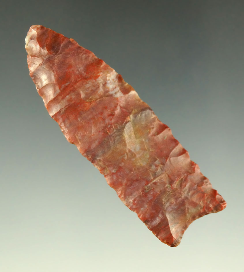Exceptional! 2 5/8" Plainview - beautiful Alibates Flint - McIntosh County Oklahoma. Rogers COA.