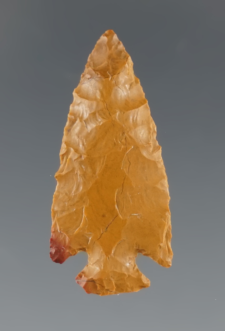 1 1/4" Cornernotch point made from attractive yellow Jasper found in Colorado.