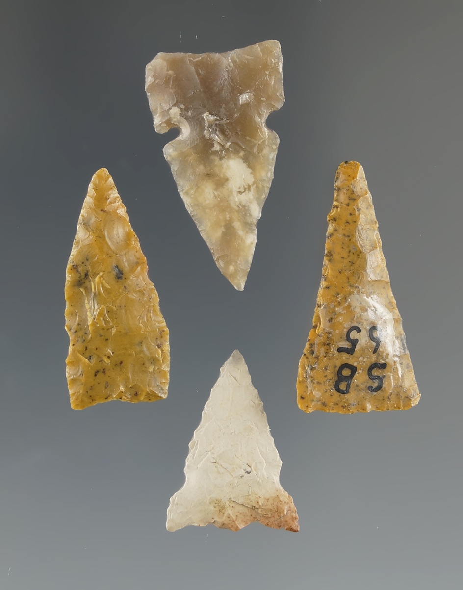 Set of four nicely styled arrowheads found in Wyoming and North Dakota. Largest is 1 1/16".