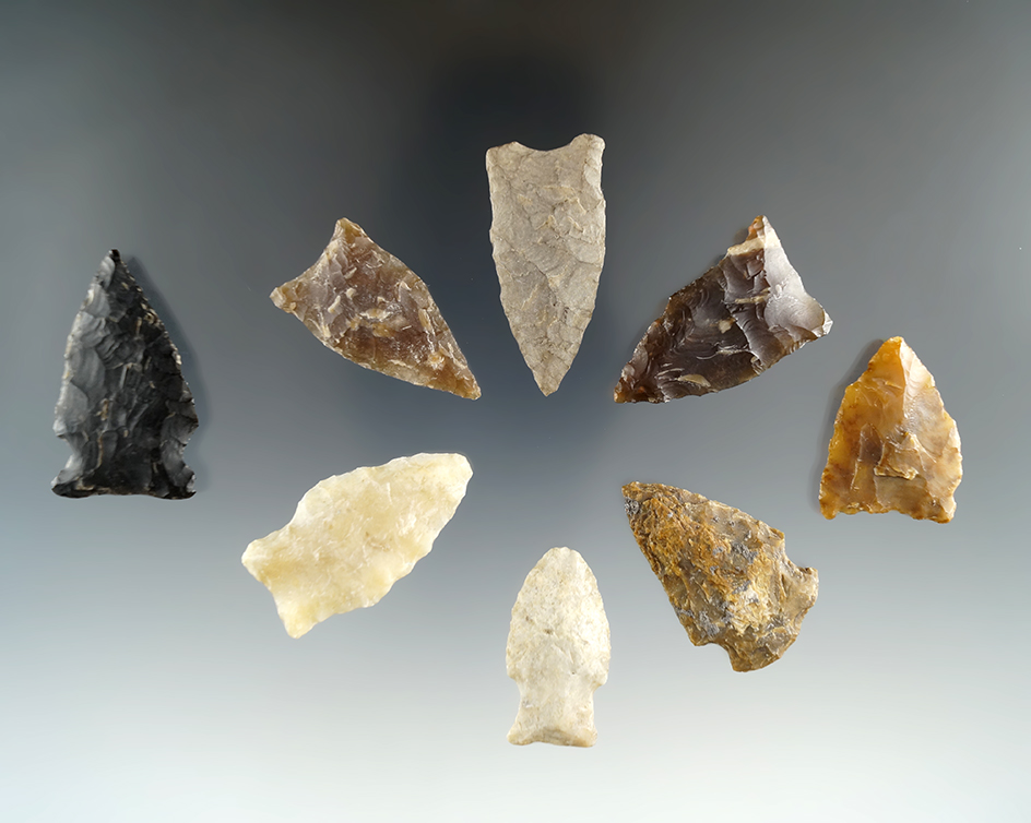Group of 8 assorted Eastern South Dakota arrowheads, largest is 1 1/2".