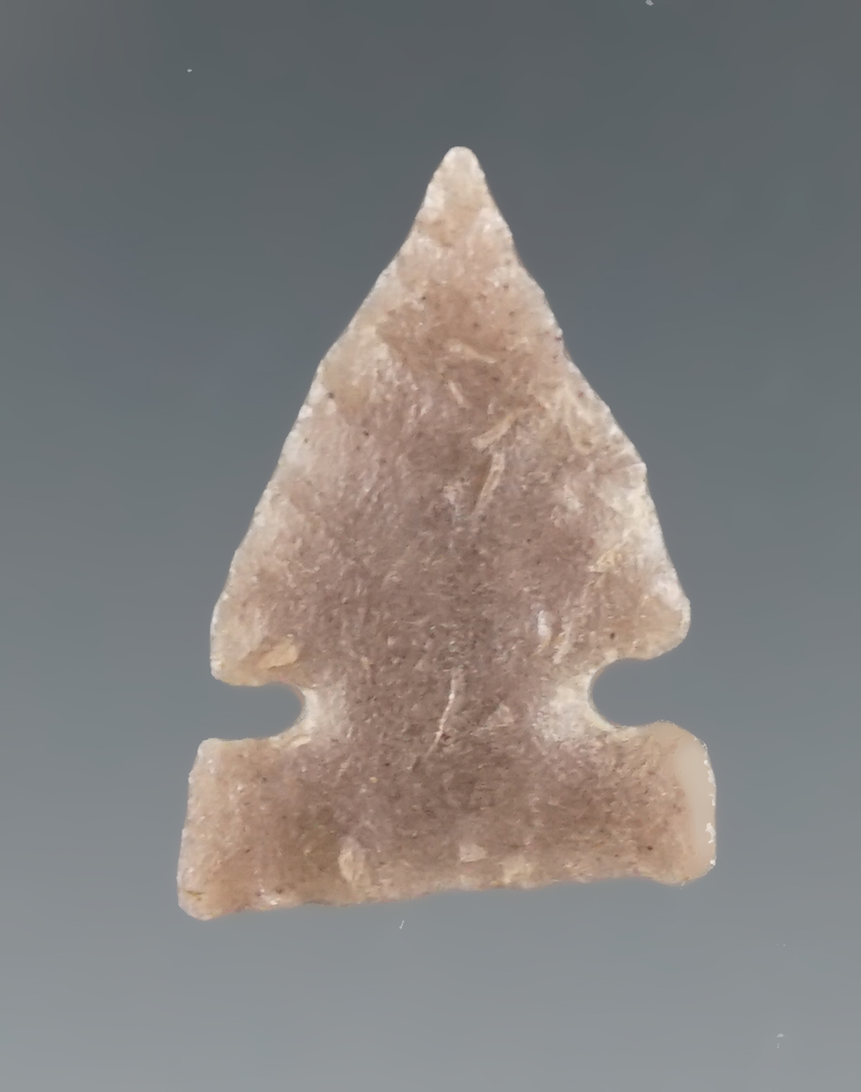 7/8" nicely styled Sidenotch found in North Dakota.