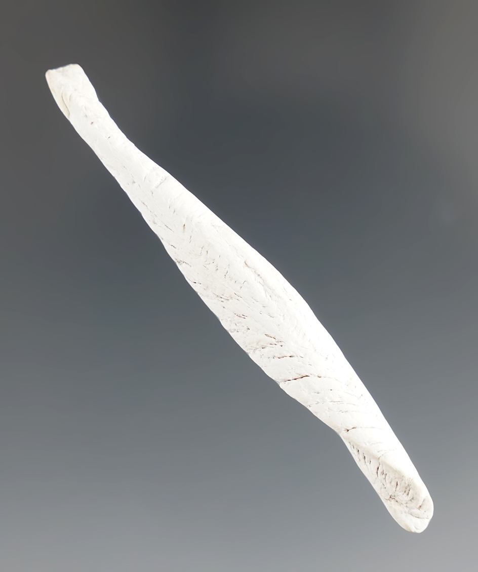 2 5/8"Cumella Shell Pendant found in the Tennessee/North Carolina area.