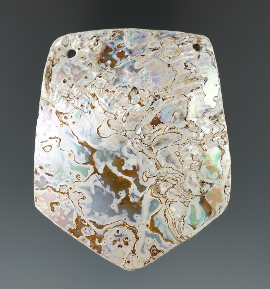 Nice! 2 7/8" abalone shell Gorget/Pendant found in 1939 in Ventura Co., California.