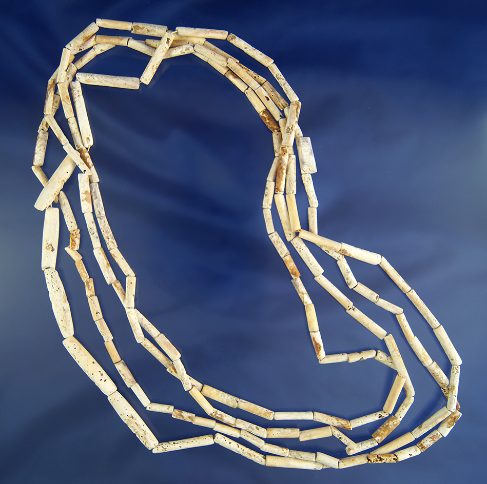 Exceptionally long 6 1/2 foot Necklace made of cut and drilled Mississippian period Shell beads.