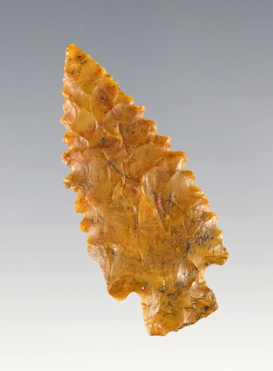 Excellent serrations on this 1 3/4" Stemmed Point made from beautiful petrified wood - Colorado.