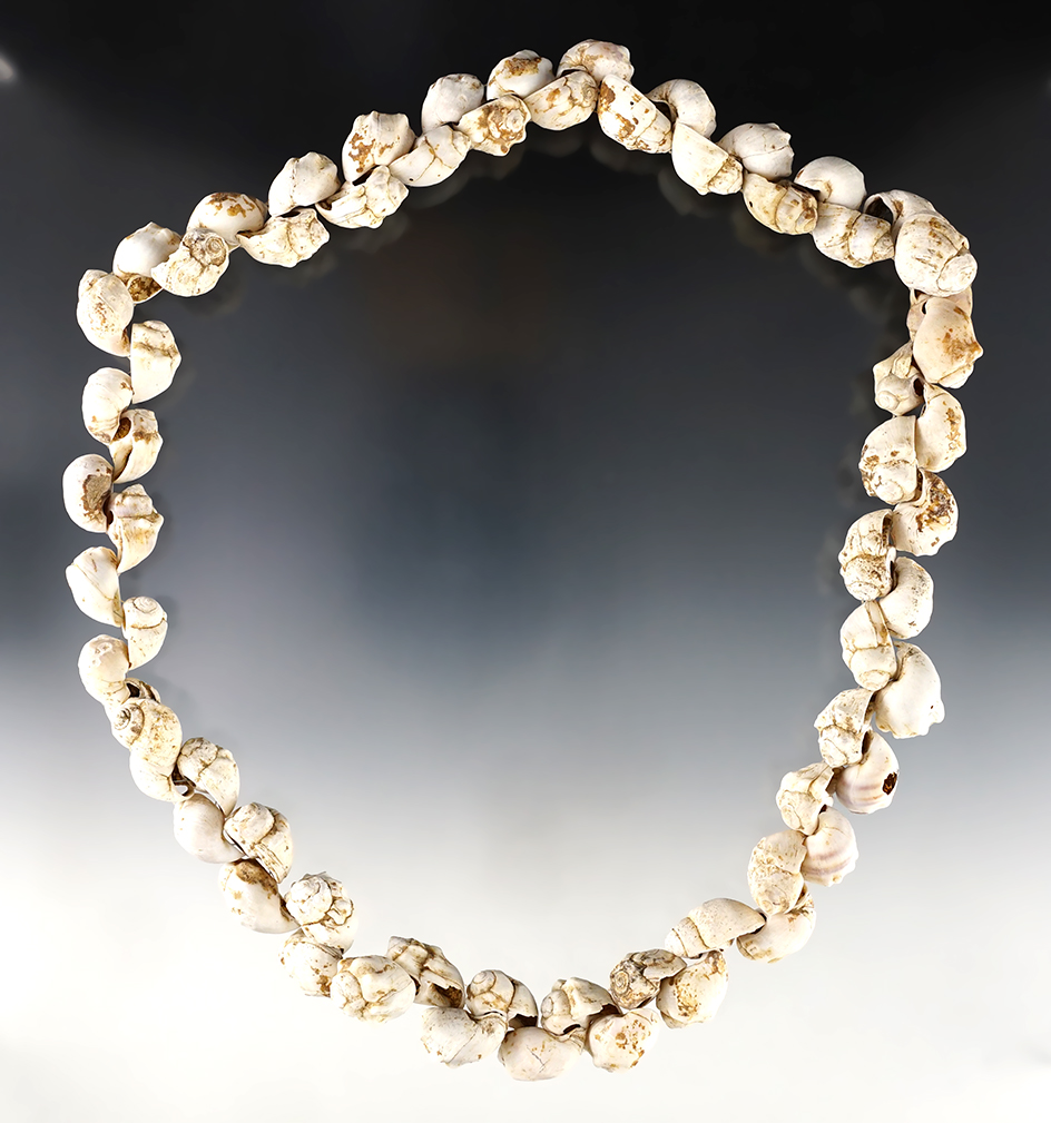 24" Strand of white Shell Beads found in Tennessee. Comes with a Davis COA, G-9.