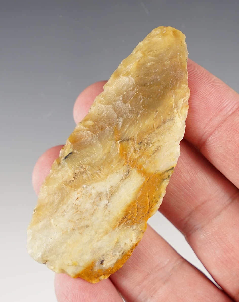 2 15/16" silicified wood High Plains Knife found in Colorado.