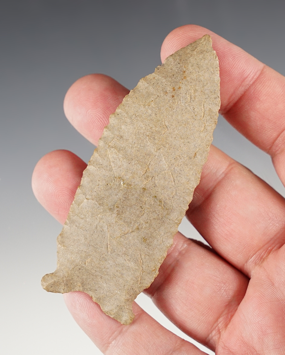 Thin 3 5/16" Greenbrier with excellent edgework - Kentucky/Tennessee area.