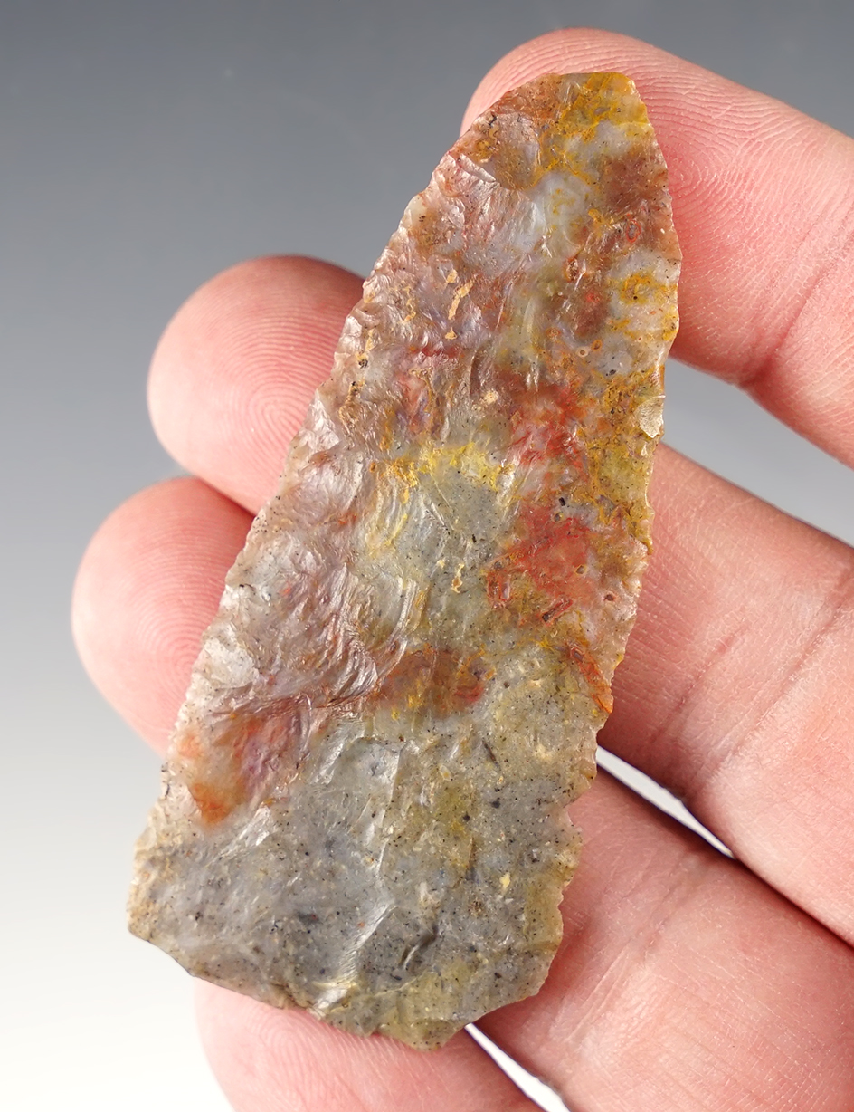 Exceptionally rare! 2 11/16" Folsom ultrathin Blade that is exceptionally well flaked - Colorado.