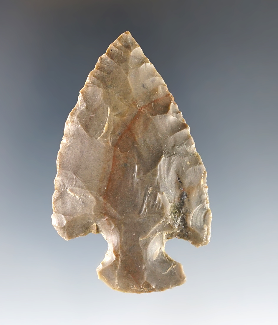 2 11/16" Motley made from colorful Carter Cave - Benton, Marshall Co., Kentucky. Bennett COA.