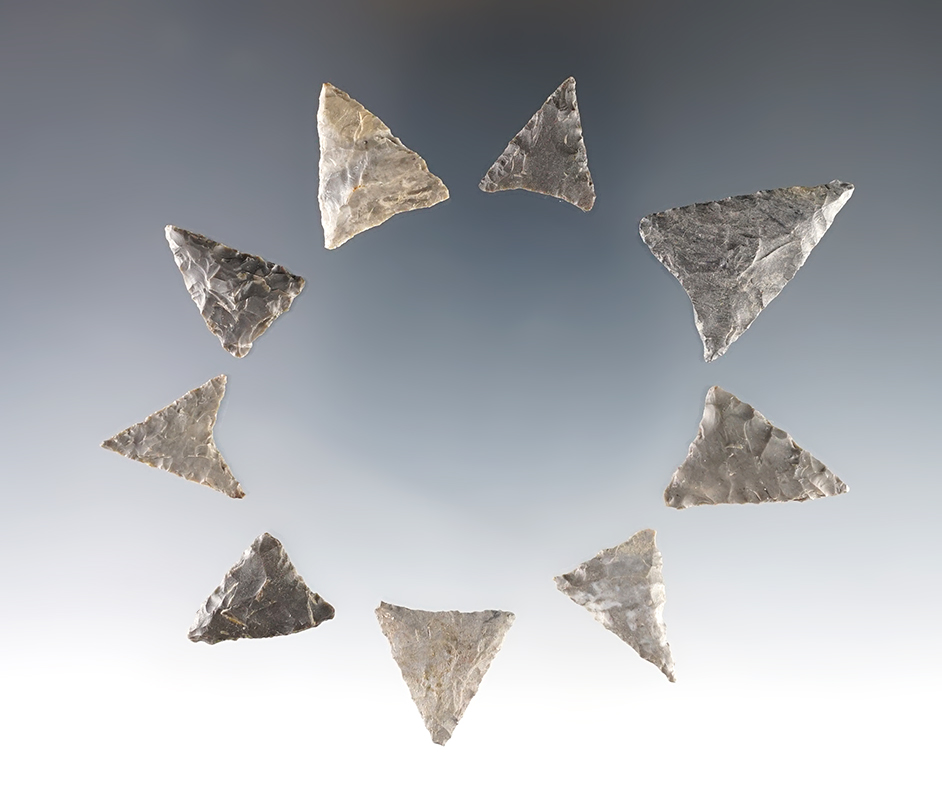 Set of nine Mississippian Triangle Points recovered in Cayuga Co., New York. Largest is 1 3/16".
