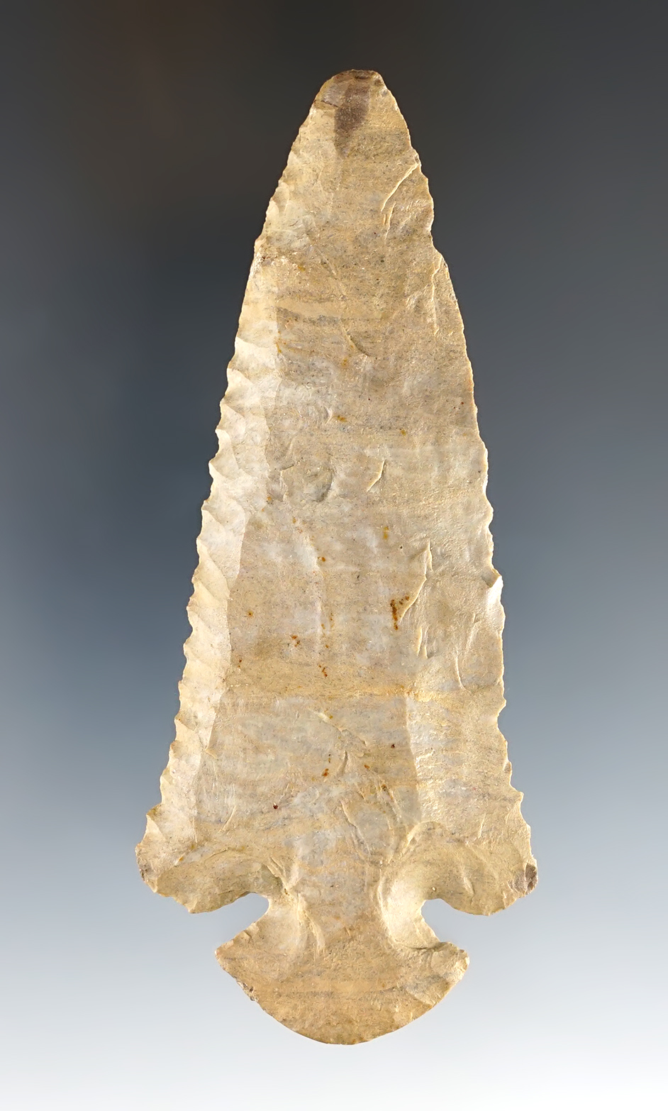 4 1/8" Dovetail found in the Kentucky/Tennessee area. Modern retouch to the tip.