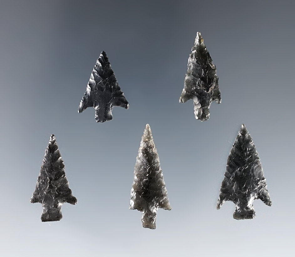 Set of five fine Obsidian Points with excellent flaking recovered in southern Oregon. 
