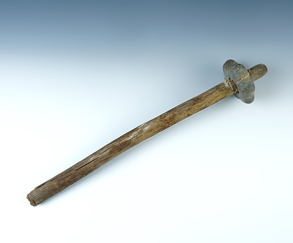 Rare! 3" wide pre-A.D. 900 six-point stone Mace Head on the original 15" wood handle. Peru.