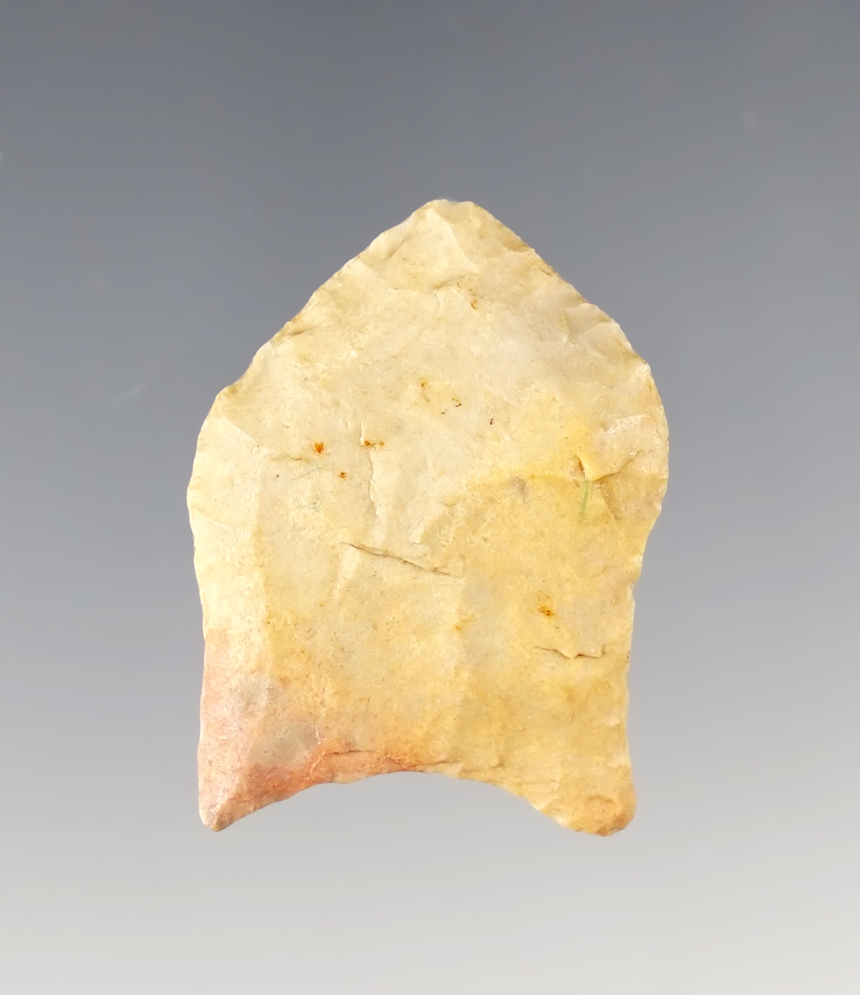 Nice 1 5/16" Pelican Lake found in Southwestern Arkansas. Comes with a Perino COA.