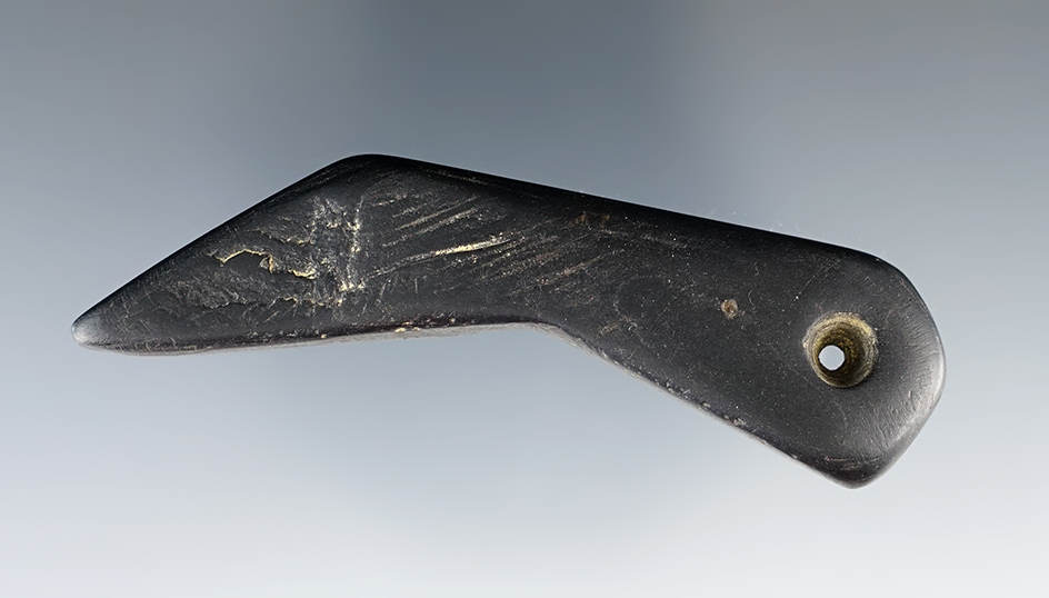 3 3/16" Claw Effigy Cannel Coal Pendant found at the Fox Field Site in Kentucky.