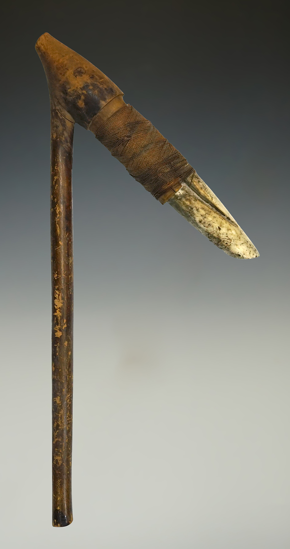 Large 31" long wood handled implement with a 12 1/2" origin unknown.