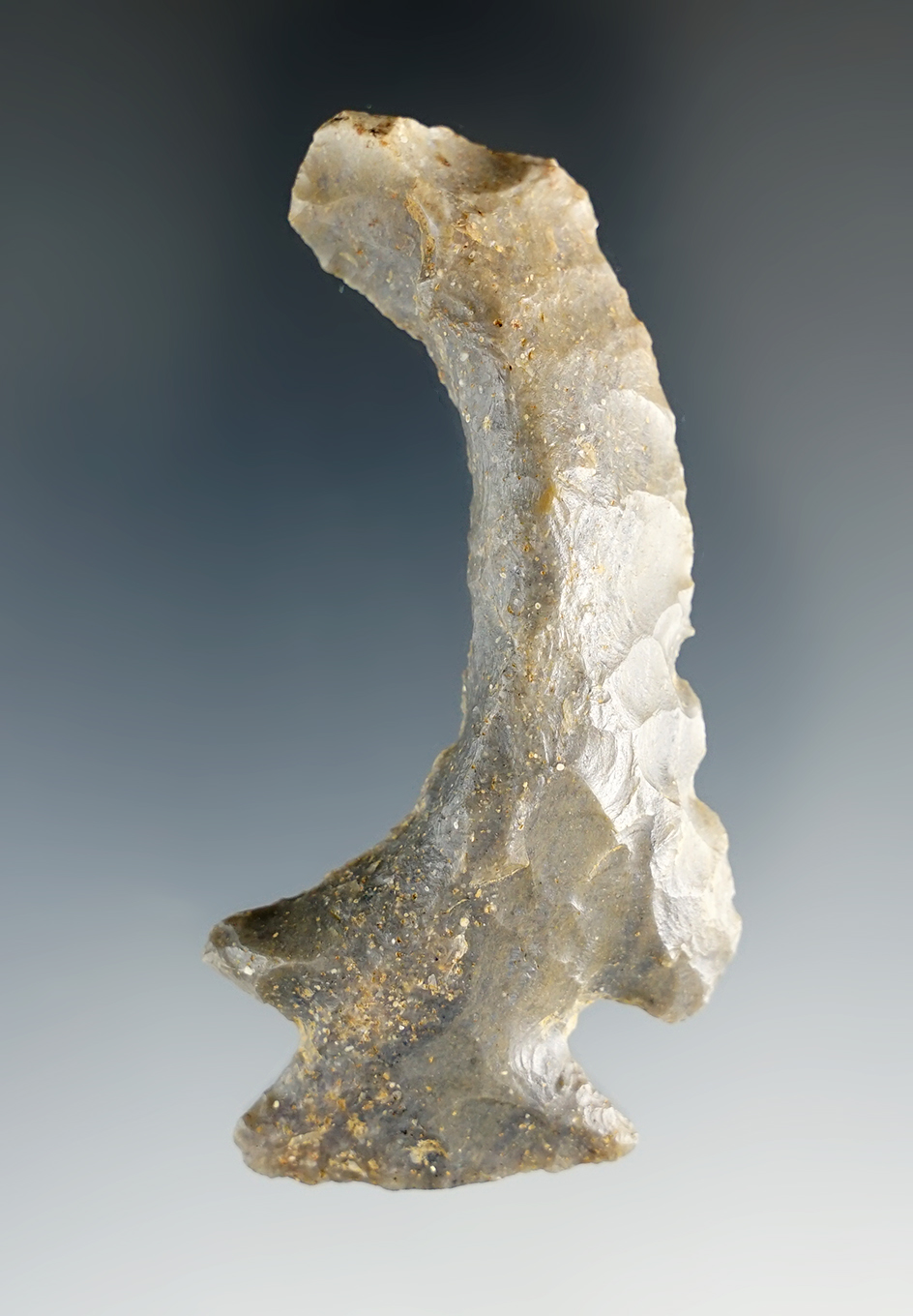 Sale Highlight! 2 15/16" Hafted Shaft Scraper that is exceptionally well made.