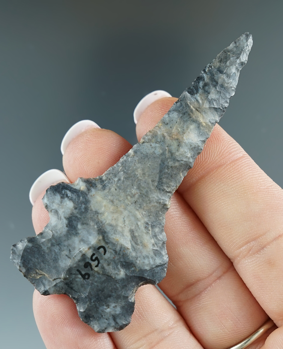 2 13/16" Coshocton flint MacCorkle Bifurcate Drill found in Marion Co., Ohio. Rogers COA.