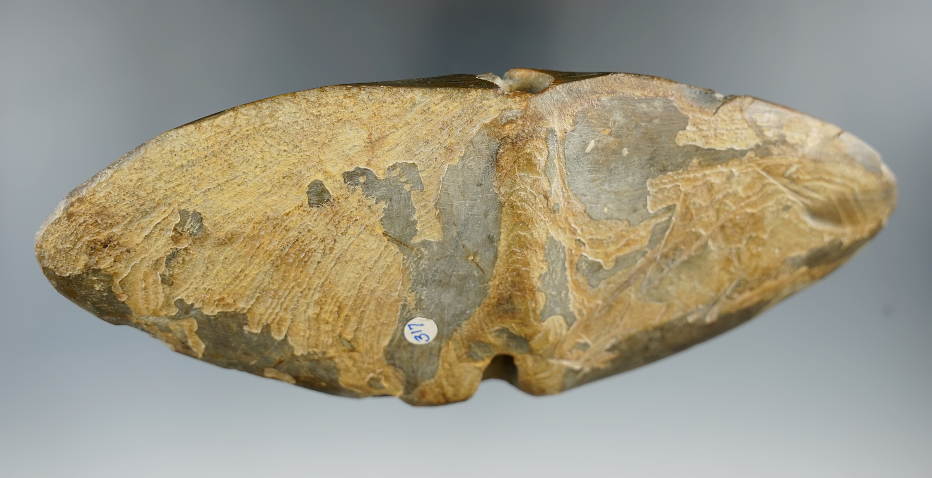 6 13/16" Archaic Winged Bannerstone with great age on surface found in Ohio. Ex. Tom Mallin.