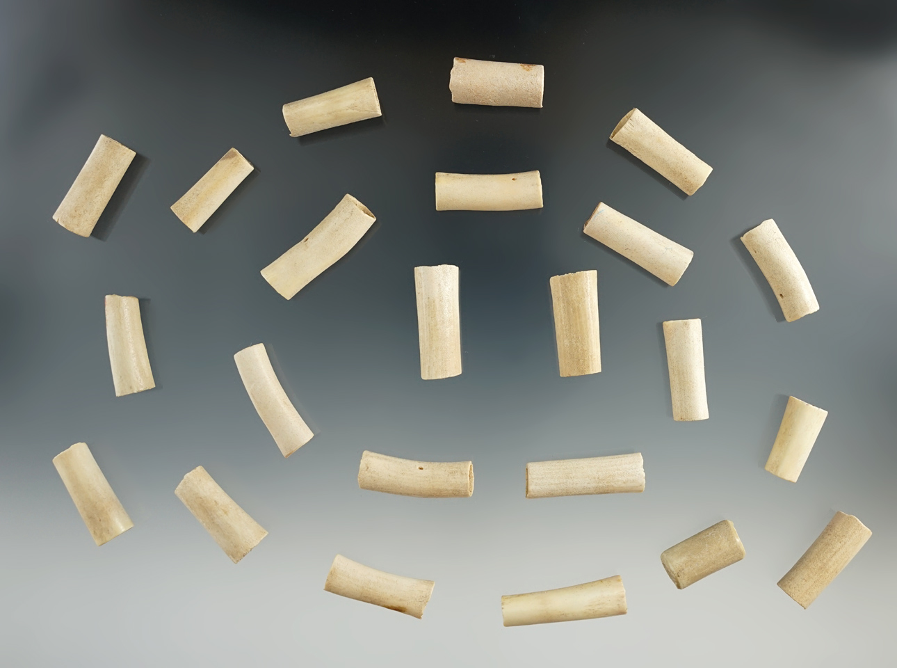 Nice set of 24 bone tube beads, largest is 1 3/16".