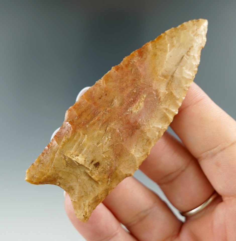 3 1/8" Dalton-Hemphill found in Lawrence Co., AR - high-grade semi-translucent flint. COA.