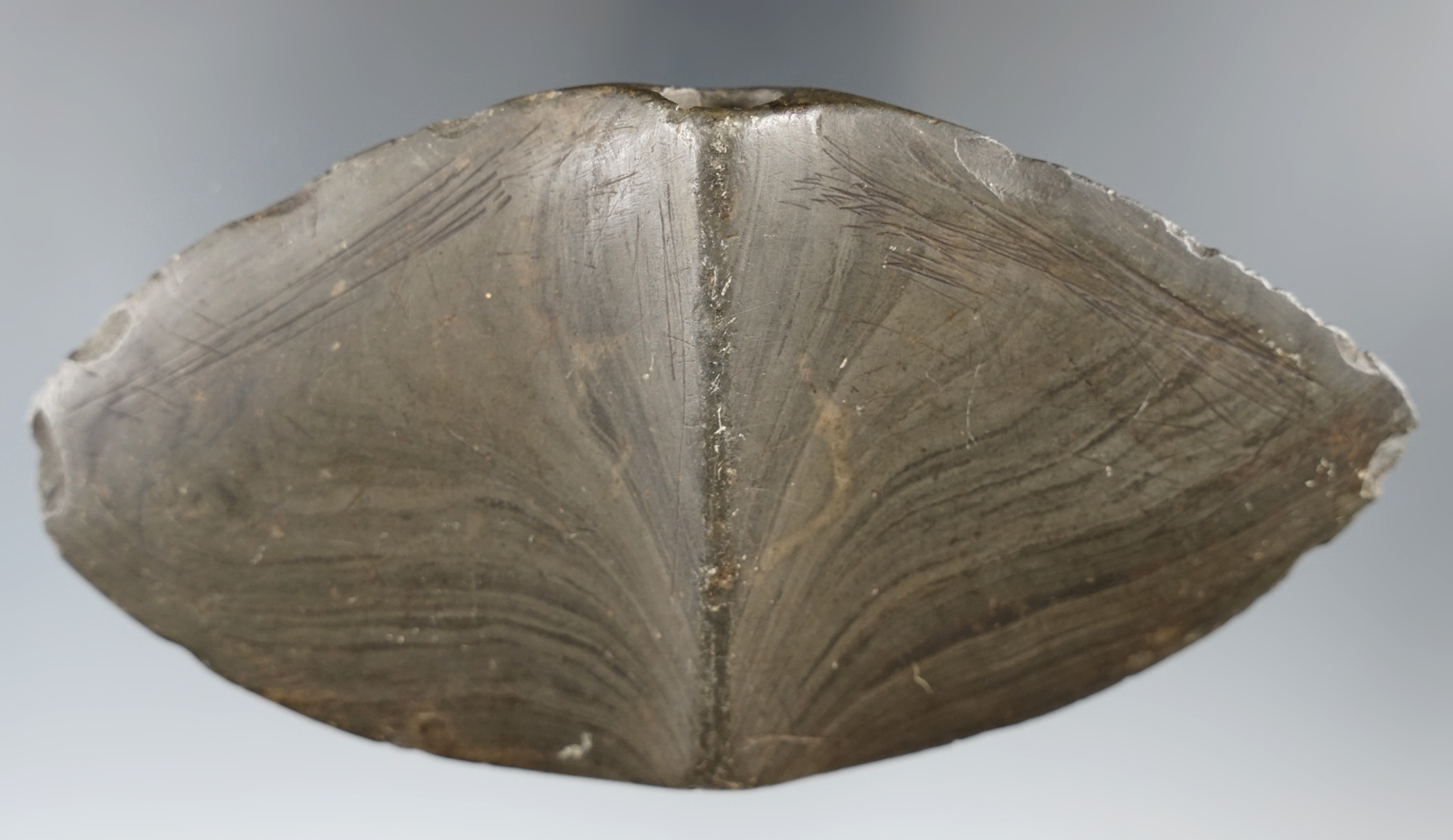 5" deeply patinated Winged Bannerstone made from banded glacial slate - Brownsburg, IN.