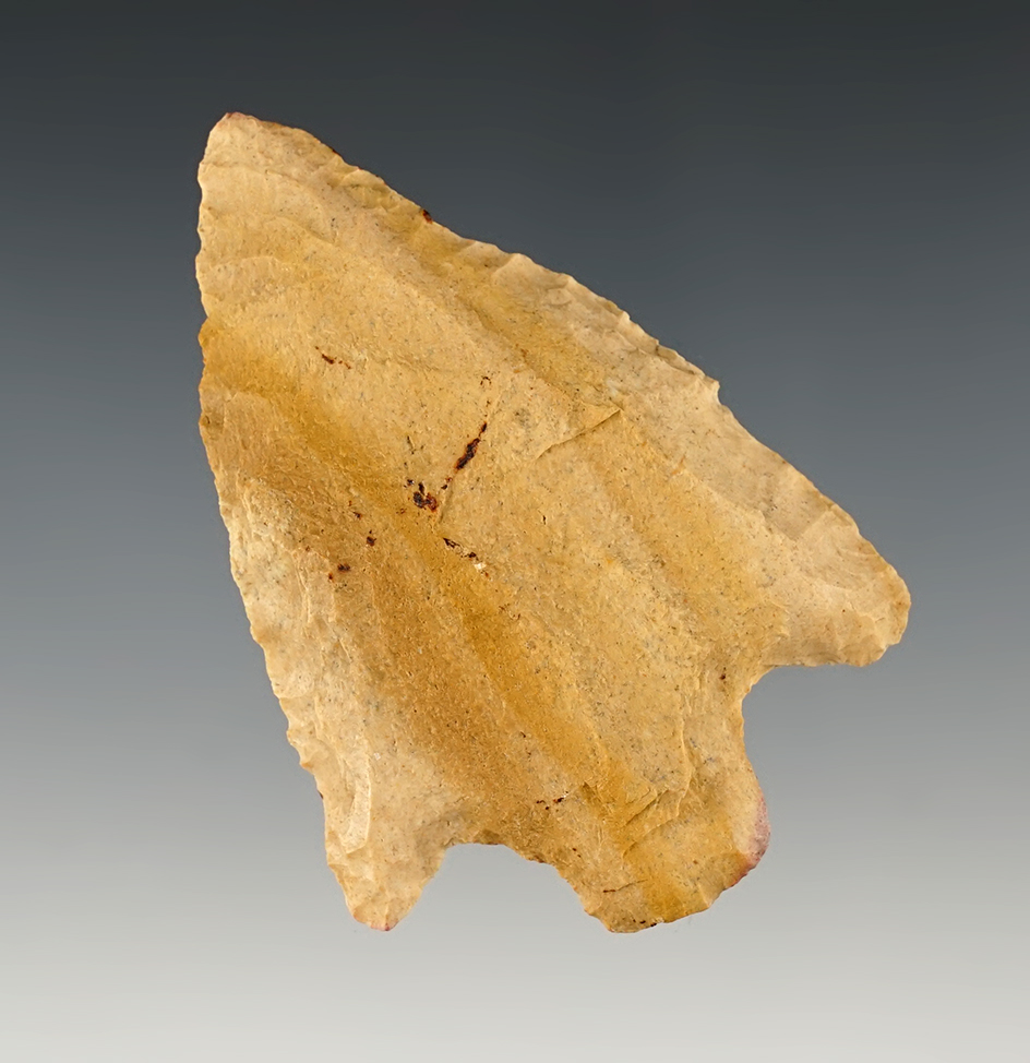 2 7/8" Florida Culbreath made from Coastal Plains Chert.