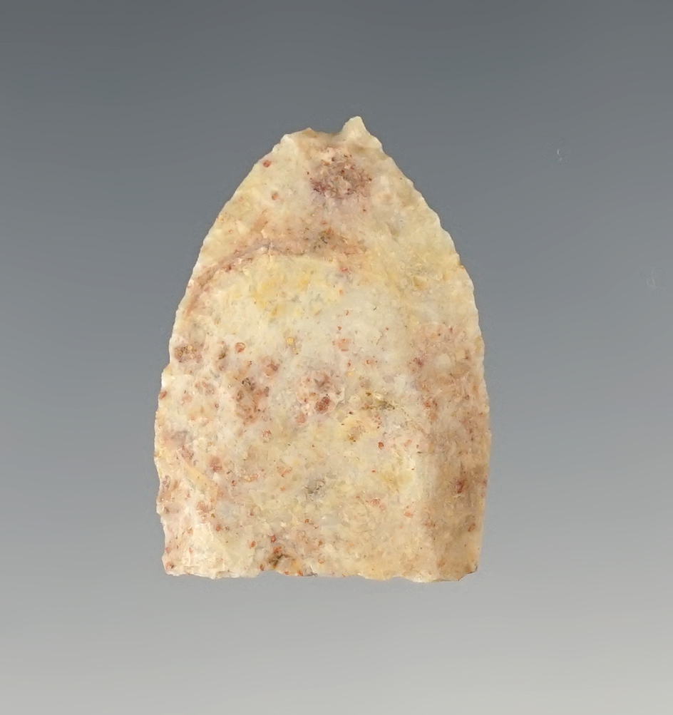 Rare! Upper Half of a 1 3/16" Paleo Folsom - snapped at the base in ancient times. NM.