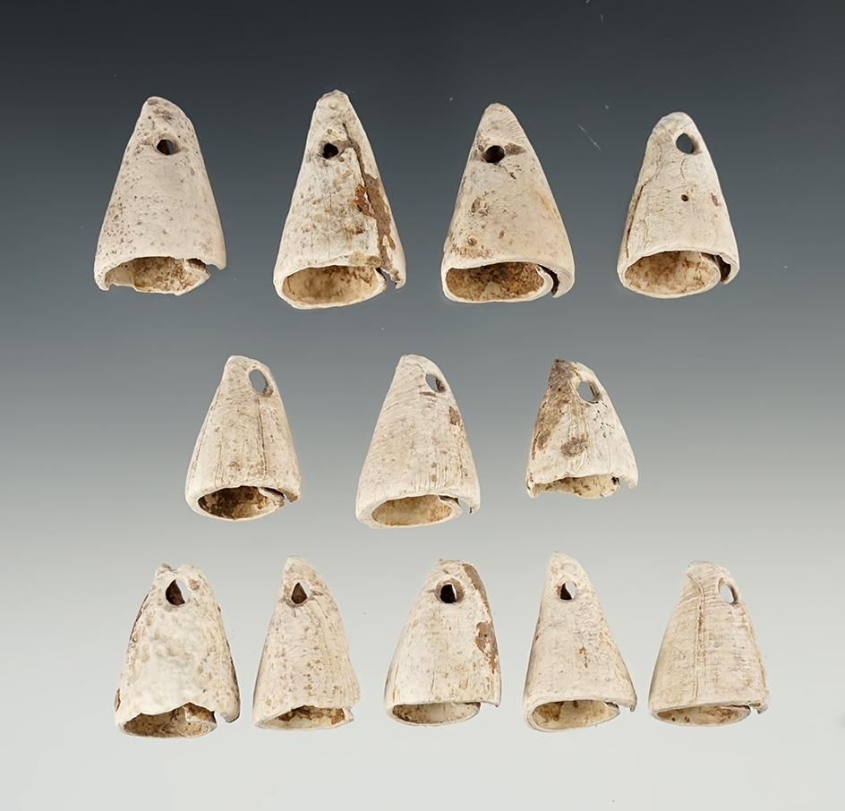 Set of 12 nicely styled Shell Cone Pendants found in New Mexico. Largest is 1 1/8".