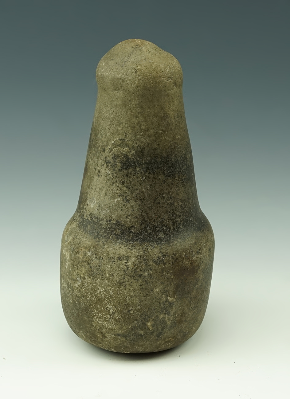 Superb 6 3/4" Knobbed Pestle found close to Wakemap Mound in the 1940's.