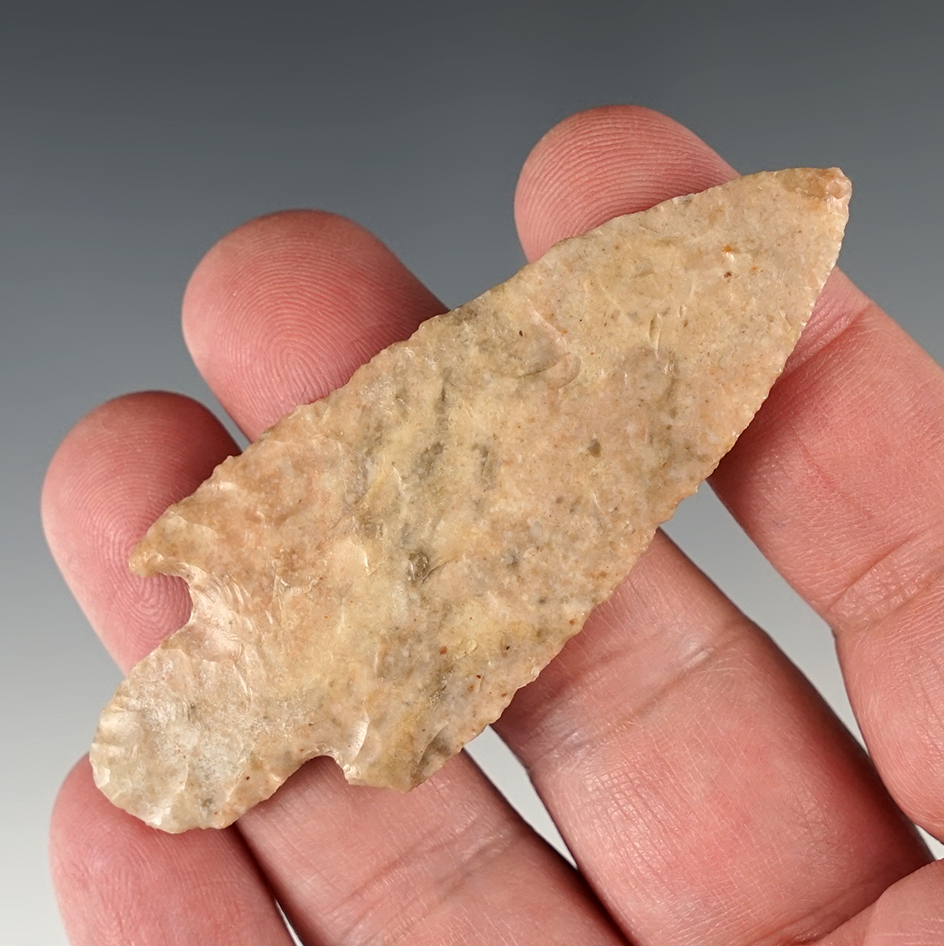 Exceptionally thin and well flaked 3" stemmed point found in New Mexico.