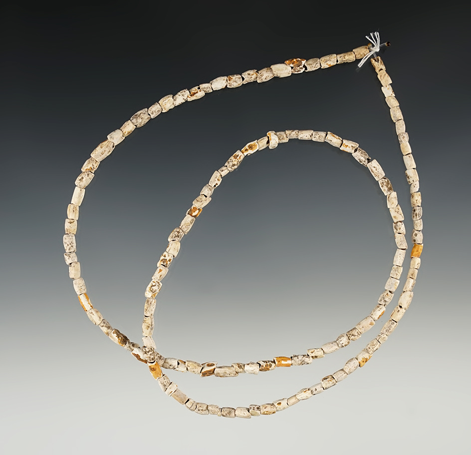 23" long Stand of Drilled Beads found in Knox Co., Tennessee.