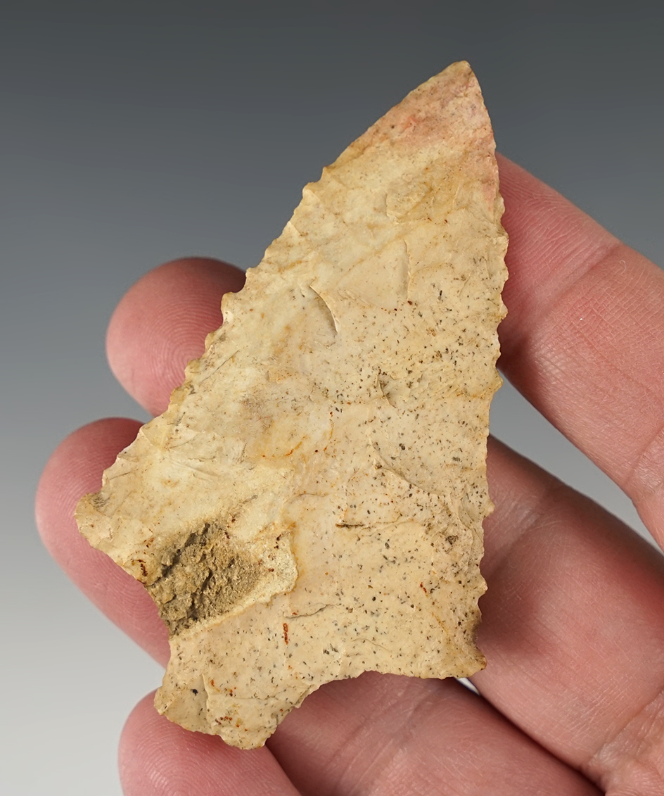 Well made 3" Serrated South Prong found in Dothan, Alabama.