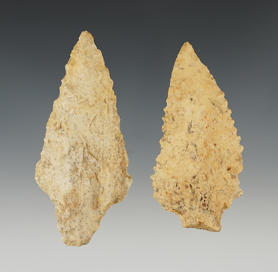 Pair of nice serrated points found in Houston Co., Georgia. The largest is 3 7/16".