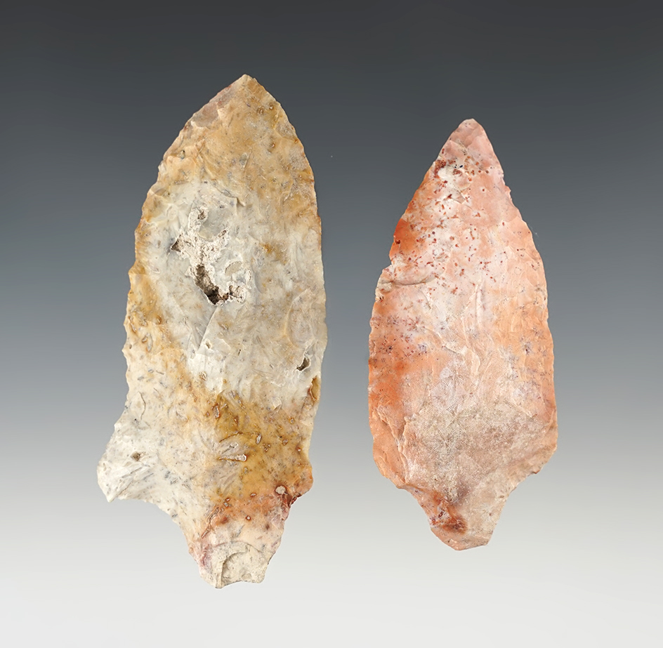 Pair of colorful Florida points in good condition. The largest is 3 11/16".