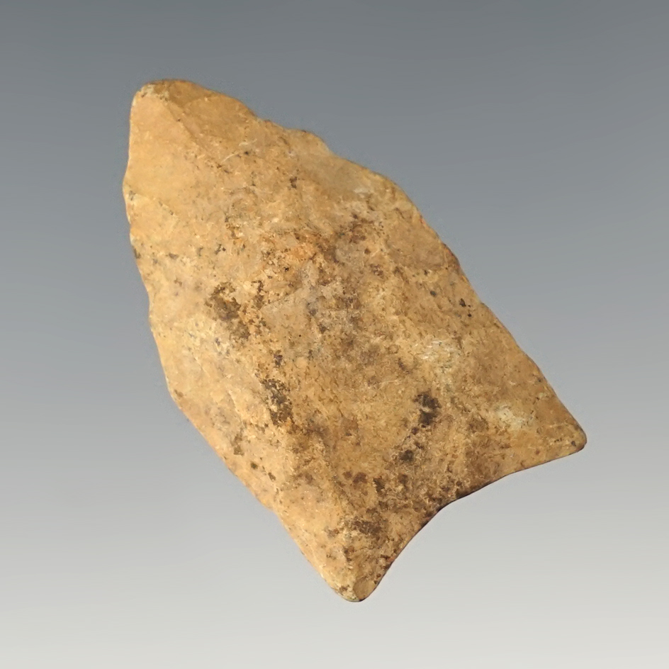 Well patinated 1 9/16" Paleo Clovis found in Salem Co., New Jersey.